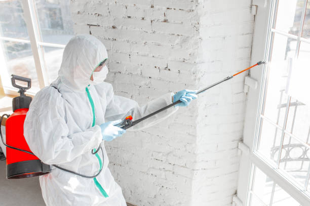  , USA Mold Removal Pros